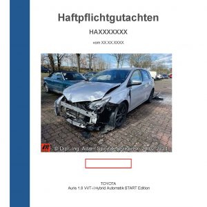 Gutachten, Haftpflichtgutachten