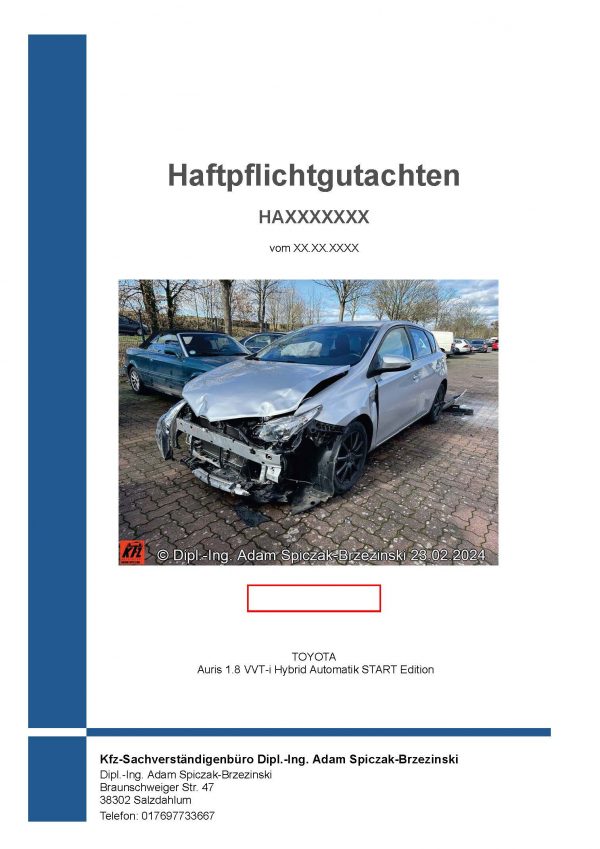 Gutachten, Haftpflichtgutachten